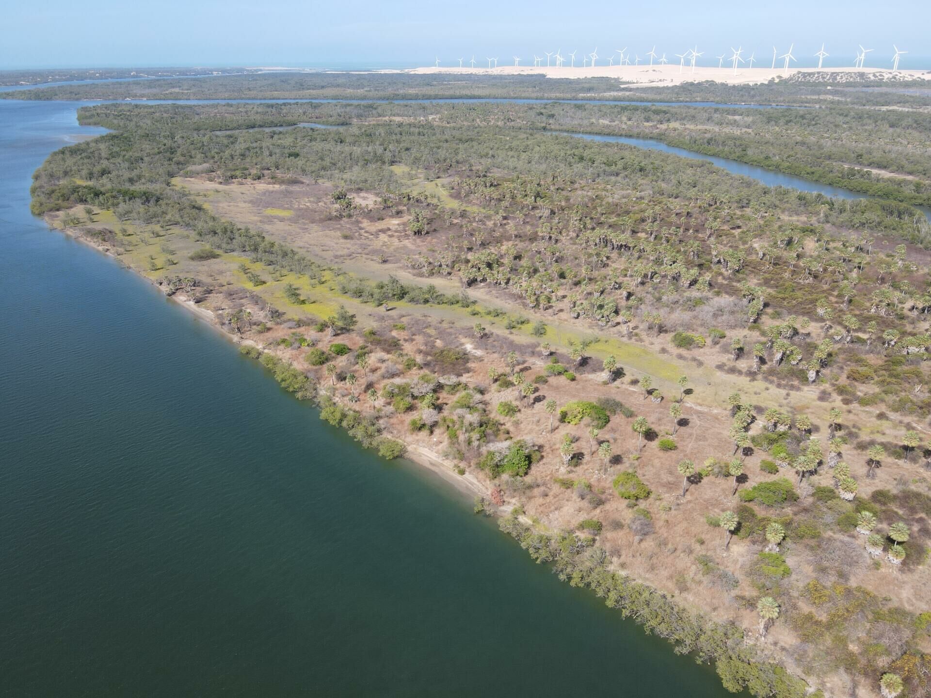 Imagem de Ilha fluvial cercada pelo Rio Jaguaribe em Fortim